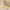 Gold-Plated Anti Tarnish 11:11 Angel Make a Wish Stainless Steel Pendant